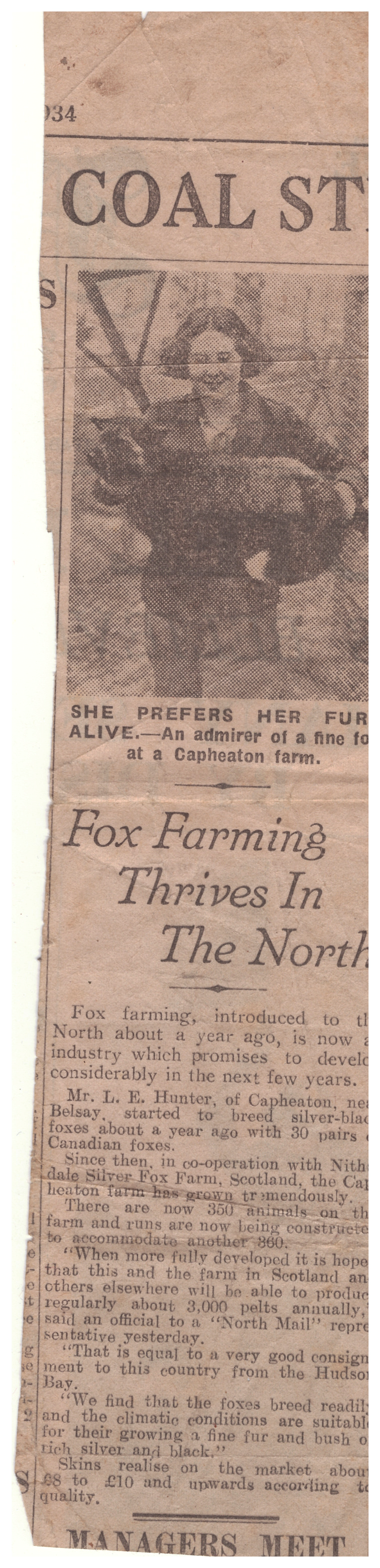 foxfarming1934Times.png